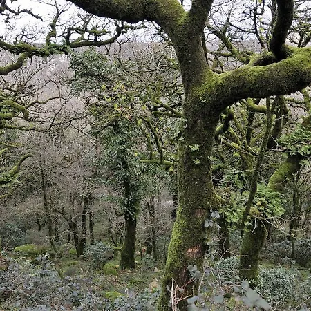 Gasthuis -recepcion Abierta 24h- 2*