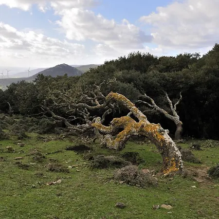 -recepcion Abierta 24h-