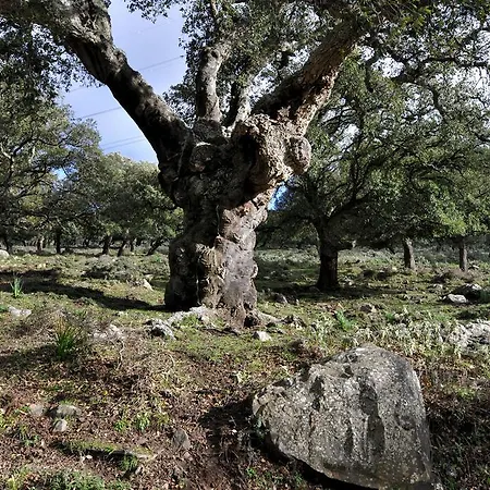 Pensjonat -recepcion Abierta 24h- 2*