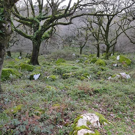 -recepcion Abierta 24h- Tarifa